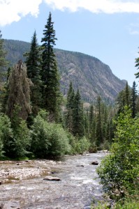 Weminuche Wilderness near Lake Vallecito in CO