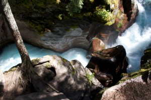 Avalanche Gorge, Glacier National Park