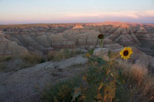Badlands National Park